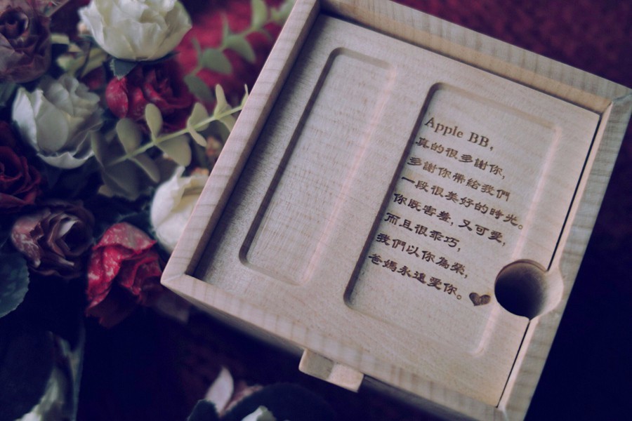 日子好货|住在“Qplanet”的小宠物