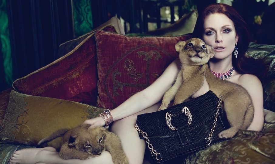 谣言粉碎机到底好不好,谣言粉碎机骗局