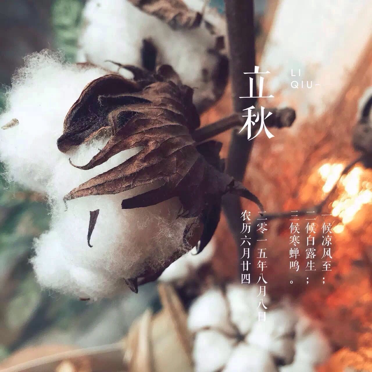 她把眼前的寻常，变成了诗和远方