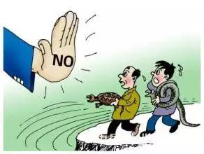 一些人其实是放生实则是杀生,放生又杀生有什么罪过