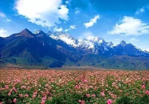 丽江惊现国内第一个彩色村！美的太不像话，像童话！