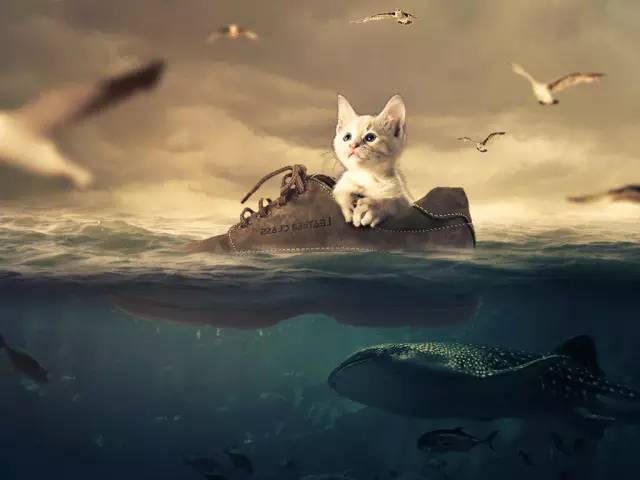 如何迅速做出叫好又叫座的PPT?学生*党**的老大难问题终于有解了!