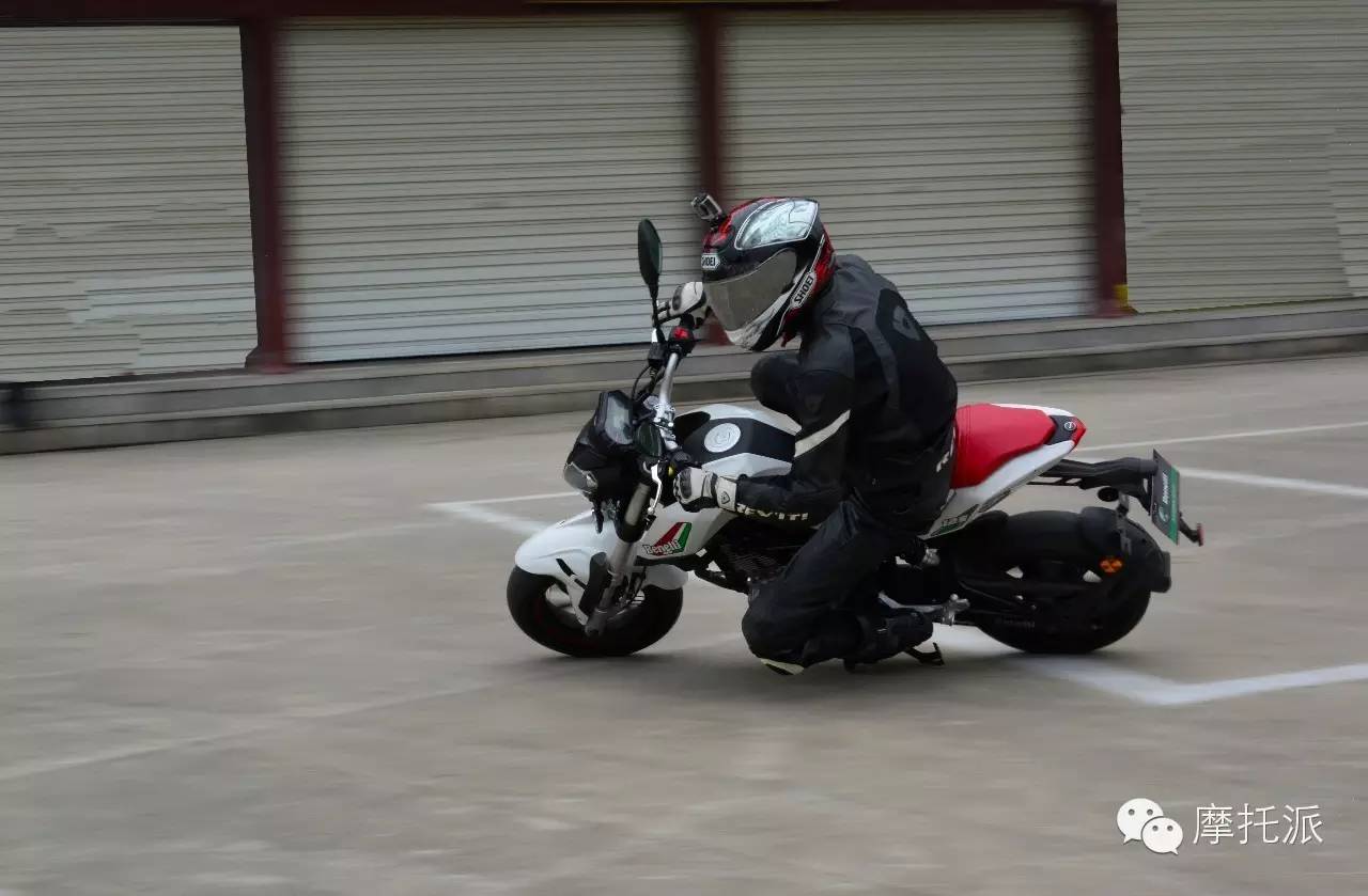 贝纳利小暴龙暴力吗,贝纳利小暴龙最详细的介绍