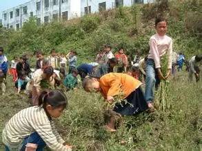 适合7-10岁孩子的课外活动,看孩子运动会好像回到了童年想哭