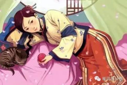 小说军火商穿越归来,小说军统别动队