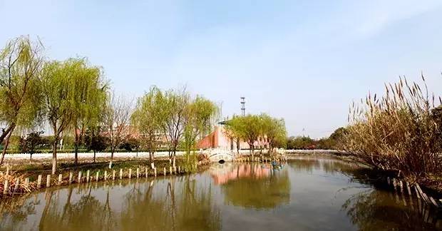 离中考还有100天给孩子的鼓励,离中考还有20多天540分来得及吗