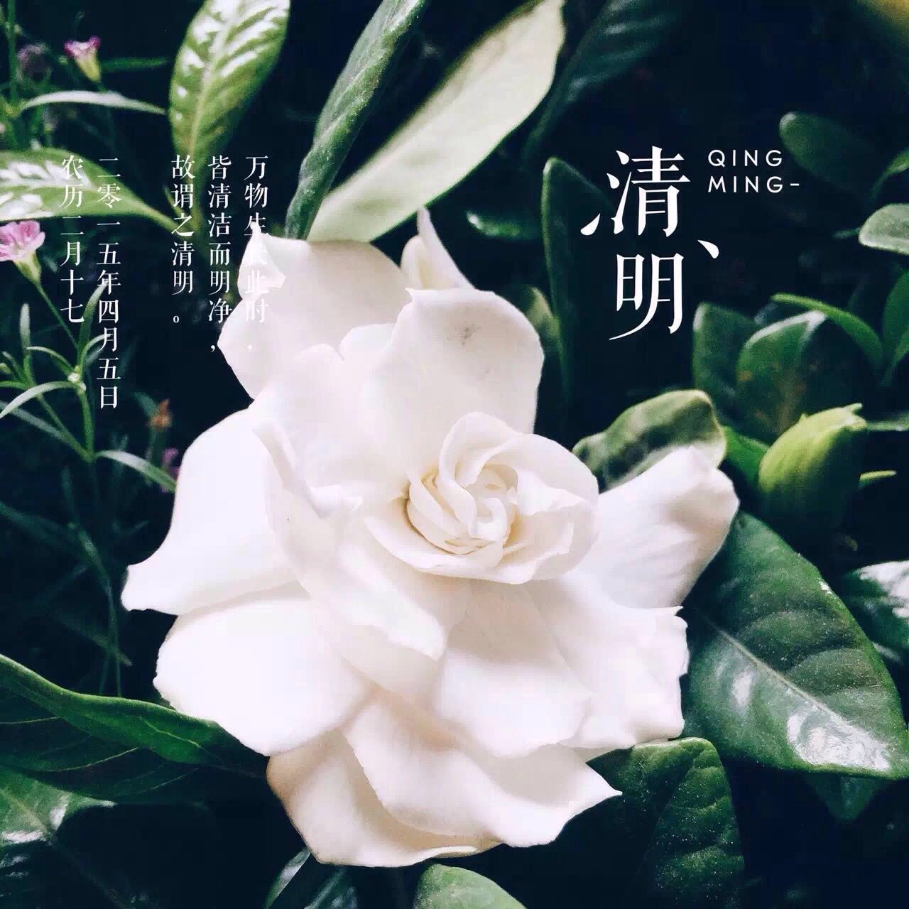 她把眼前的寻常，变成了诗和远方