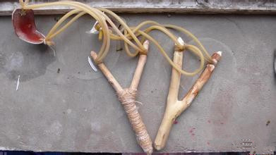 适合7-10岁孩子的课外活动,看孩子运动会好像回到了童年想哭