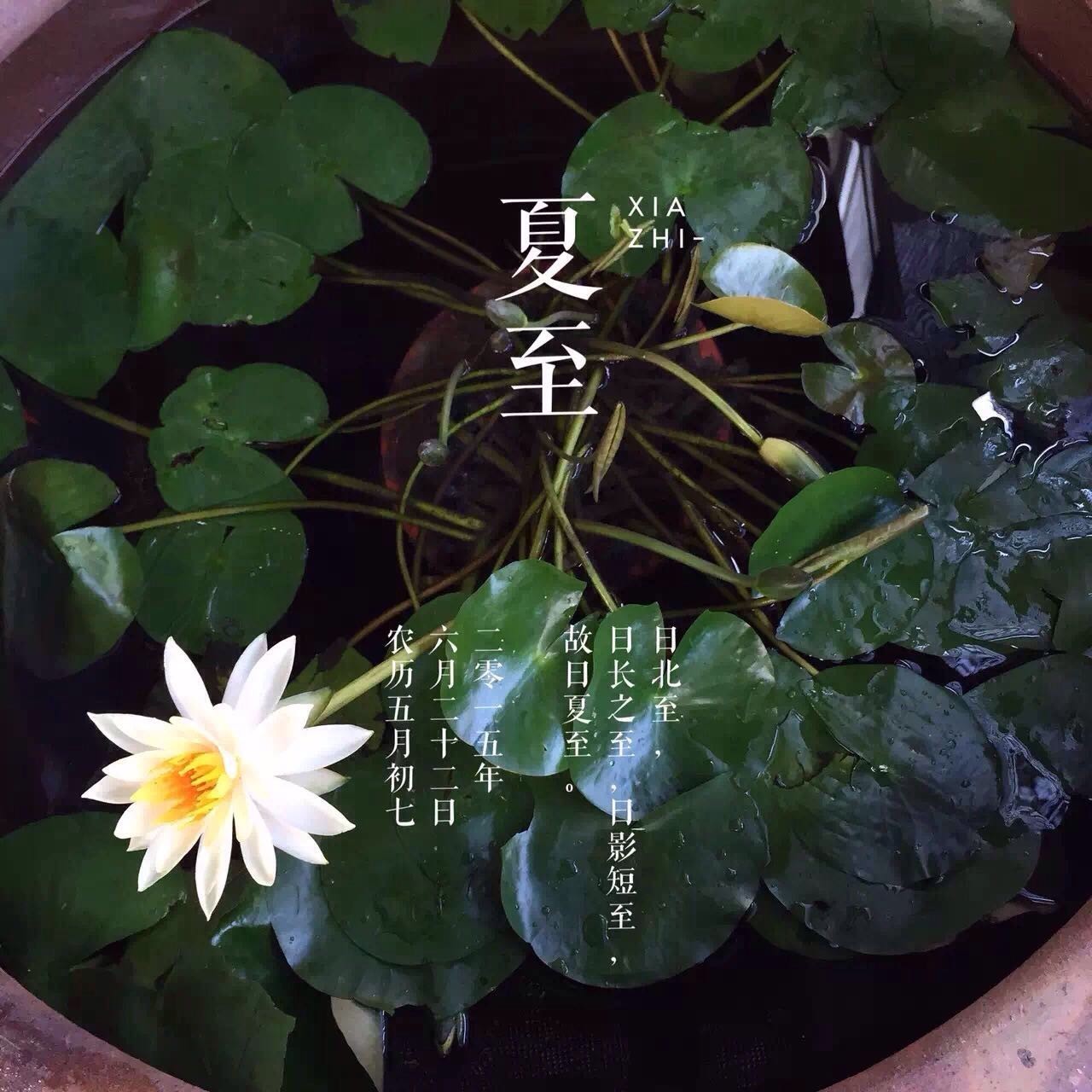 她把眼前的寻常，变成了诗和远方