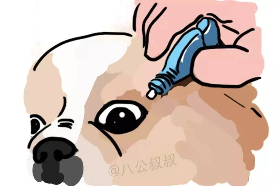 狗狗眼睛里怎么预防长虫,狗狗眼睛上有很多蜱虫