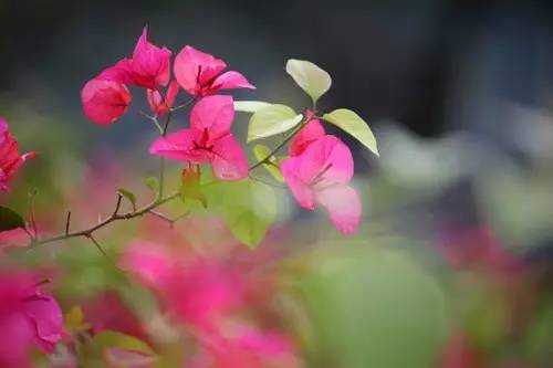 photoshop照片处理技巧,photoshop处理照片的基本技巧