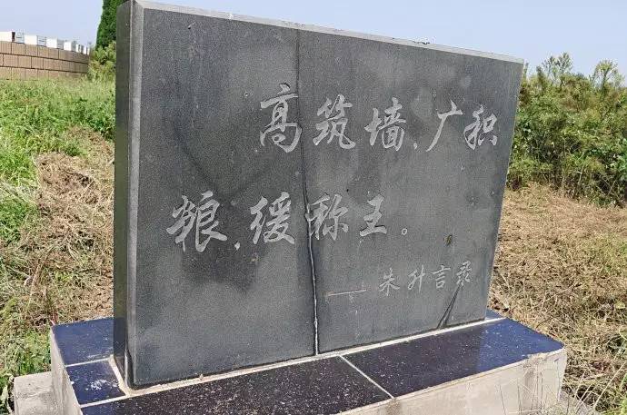 观察家|换换口味！美资企业究竟强在哪儿？业内人士打入组织内部一探究竟