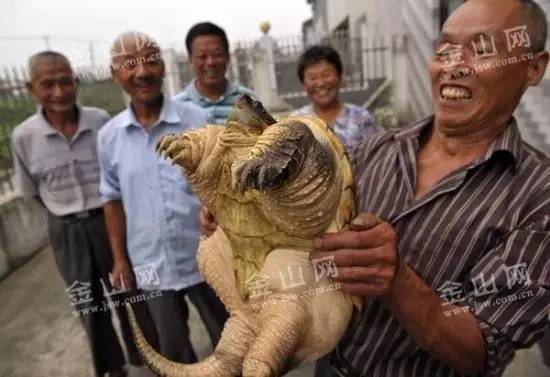 一些人其实是放生实则是杀生,放生又杀生有什么罪过