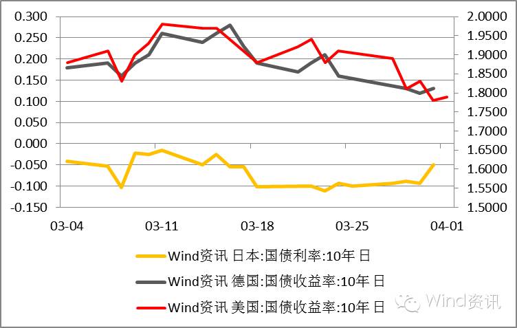 鹰鸽的分类图解,中国鹰鸽图文