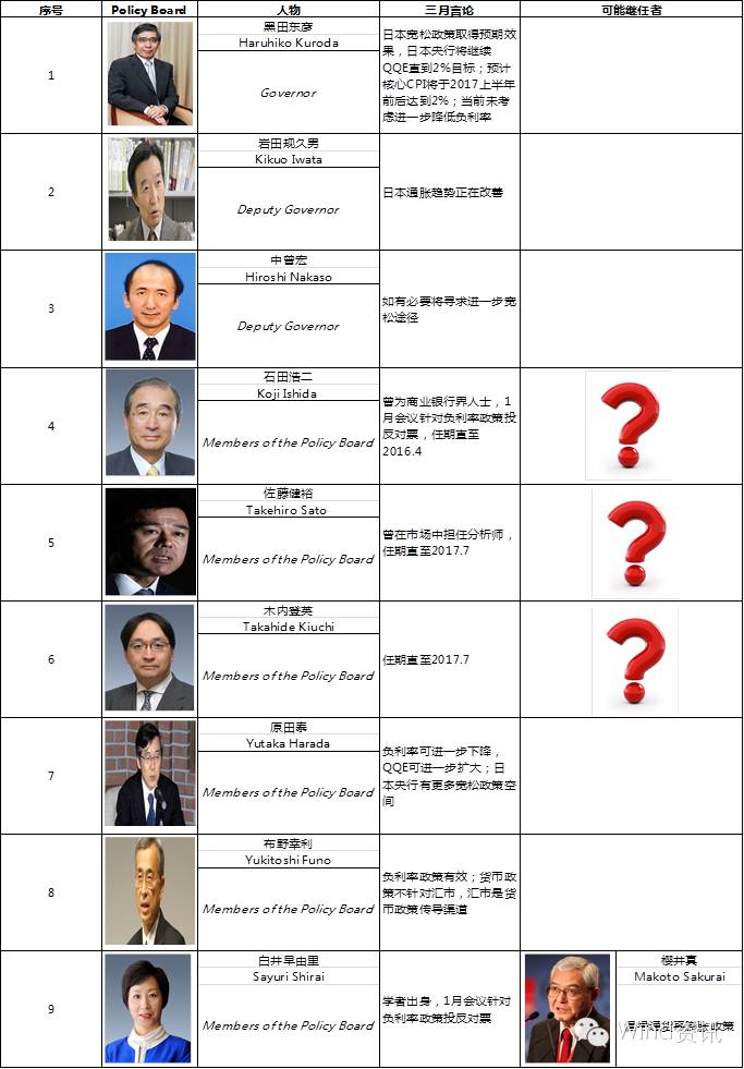 鹰鸽的分类图解,中国鹰鸽图文