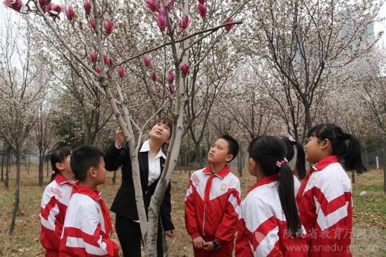 韩城市小学教师邓红花：一朵在平凡中绽放光彩的铿锵玫瑰