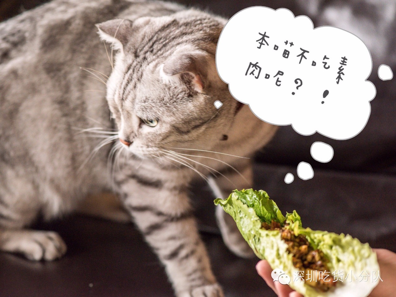 第3家店,但新来的两个男店长都不是人...