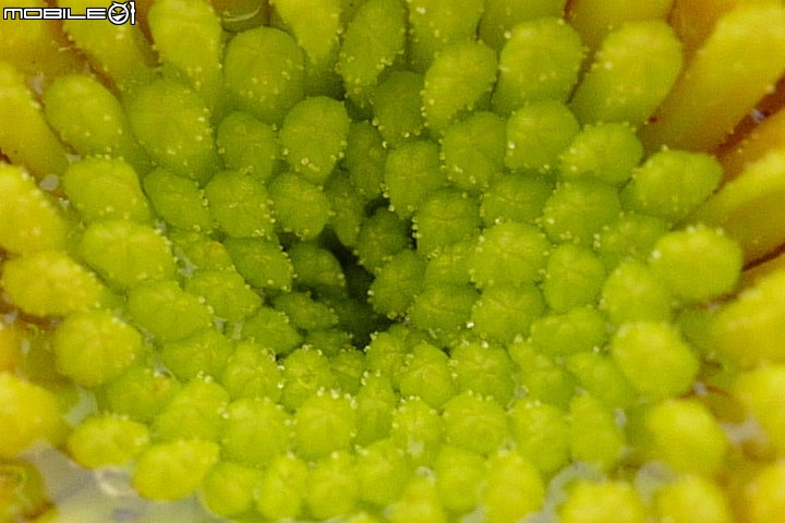 徕卡cl深度测评,徕卡leicac-11295