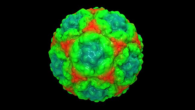 感冒打针吃药5天不见好转,感冒了不吃药一般几天会好