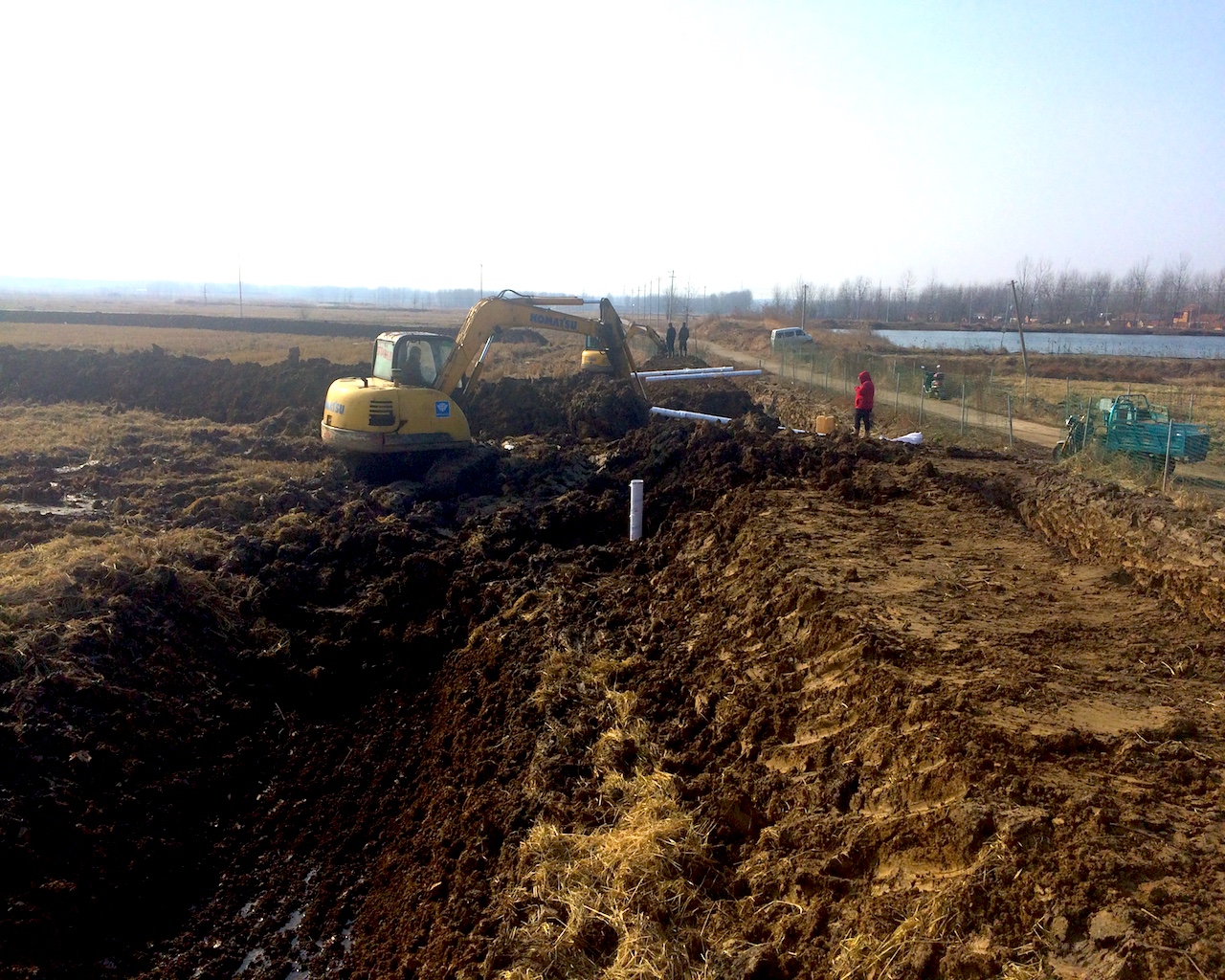 小龙虾养殖防逃跑方法,小龙虾习性不怕太阳