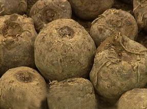 绵阳特产送人便于携带,绵阳在哪儿买特产比较正宗