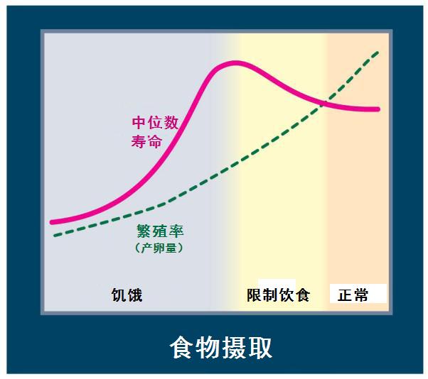 长期喝王老吉对身体有什么影响,常喝王老吉有好处吗