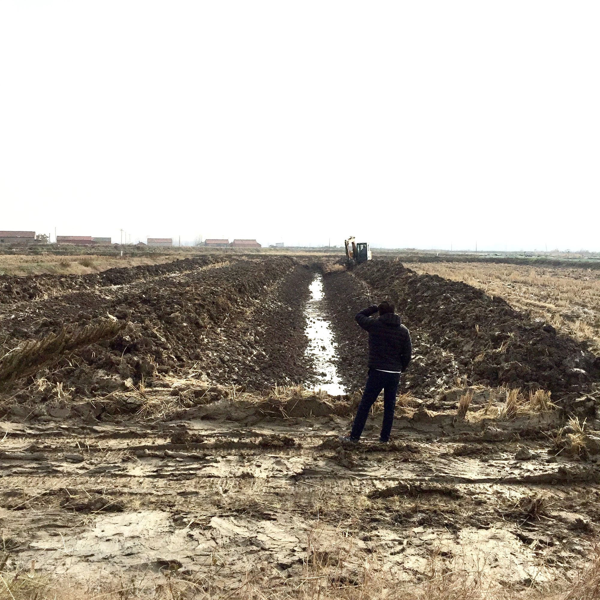 小龙虾养殖防逃跑方法,小龙虾习性不怕太阳