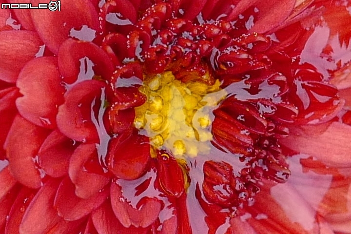 徕卡cl深度测评,徕卡leicac-11295