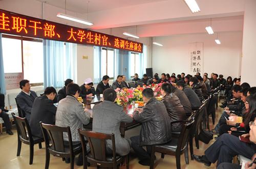 选调生都是乡镇级职位吗,选调生与村官有什么区别