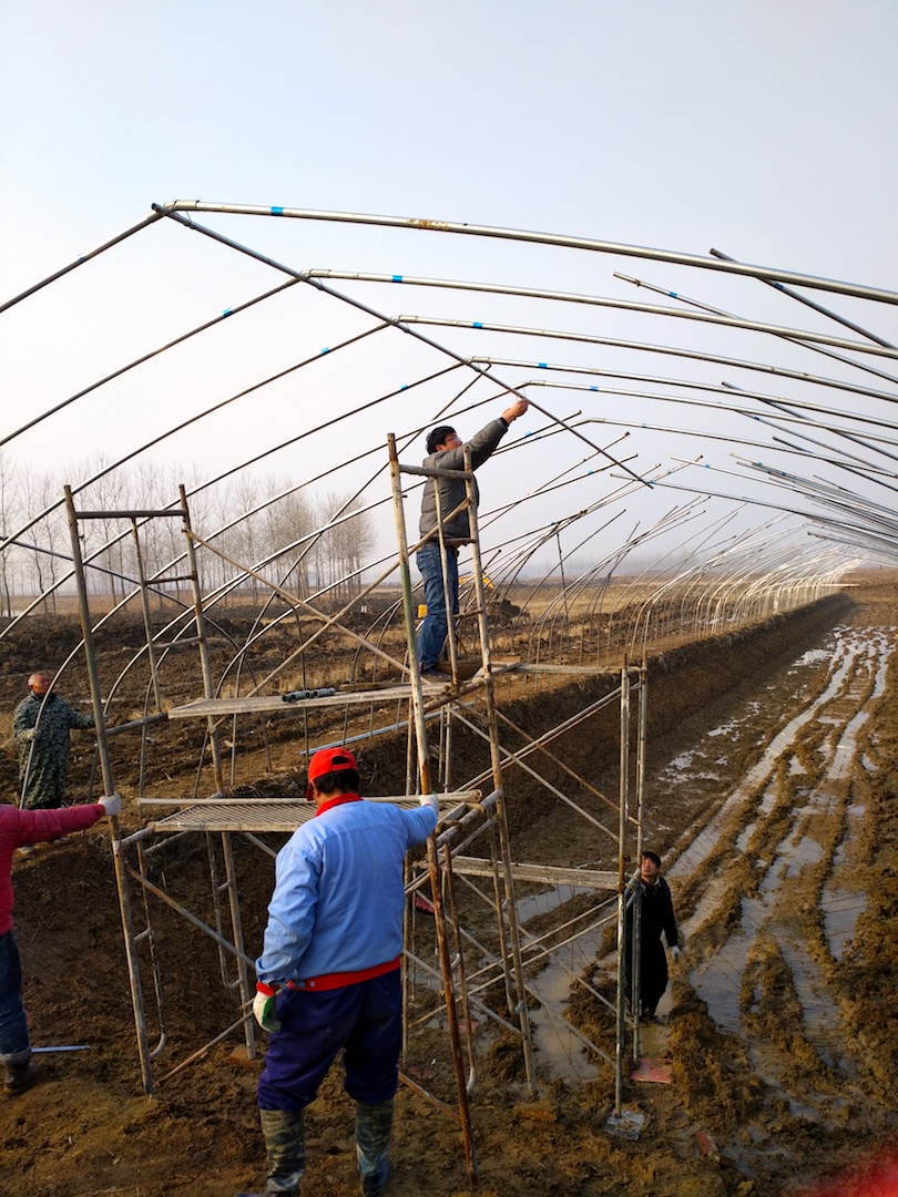 小龙虾过冬会不会死,小龙虾是怎么过冬的