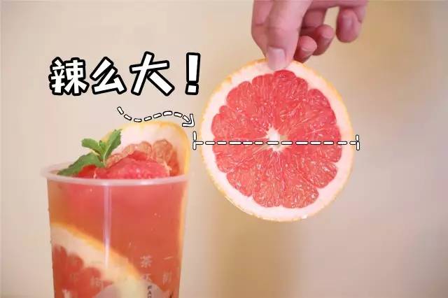 「青粉福利」火遍全国的梵茶免费喝，还不快来！