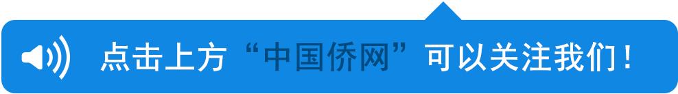 被海关扣押的经历,被扣留可以保释吗
