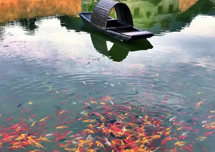 河北秋天去哪里旅游,秋天河北去哪里旅游比较好