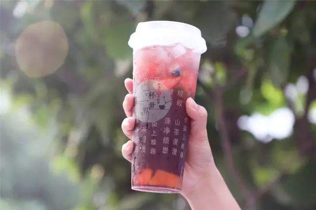 「青粉福利」火遍全国的梵茶免费喝，还不快来！