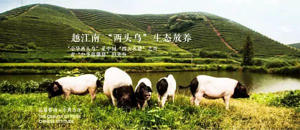 金华排名第一的地方是哪,金华最适合去的旅游城市