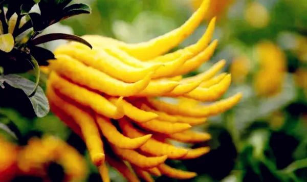 金华排名第一的地方是哪,金华最适合去的旅游城市