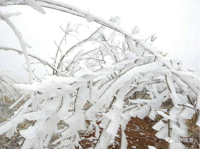 冰雪秦岭梦幻般的世界,乌蒙仙境风景