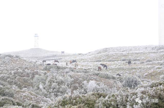 冰雪秦岭梦幻般的世界,乌蒙仙境风景