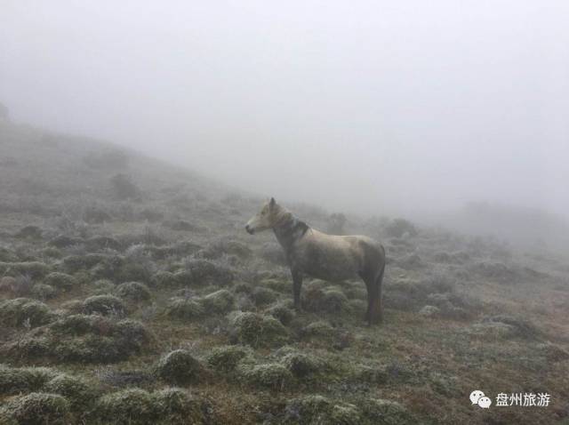 冰雪秦岭梦幻般的世界,乌蒙仙境风景