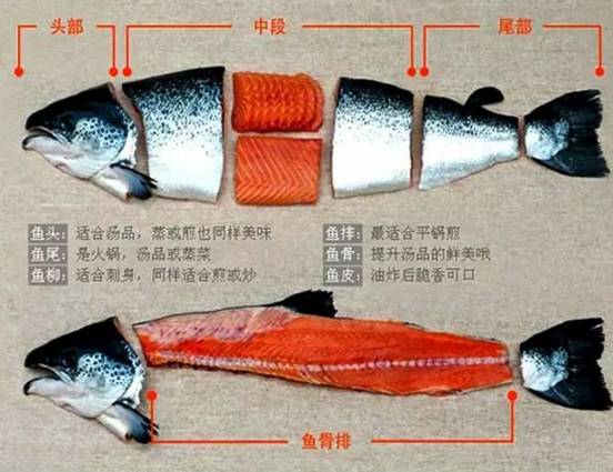 有多少人没吃过三文鱼,你还在吃三文鱼吗
