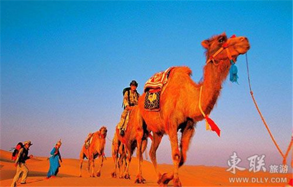 自驾游阿拉善大草原,阿拉善旅游自驾游攻略大全