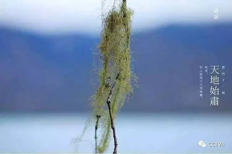 处暑时节养生小知识,看处暑时节攻略学会巧养生