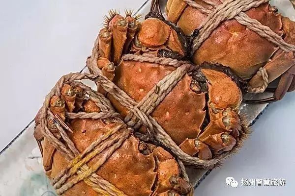 扬州螃蟹,江苏吃螃蟹最出名的地方有哪两个