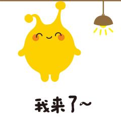 教你识调料,调料小技巧视频