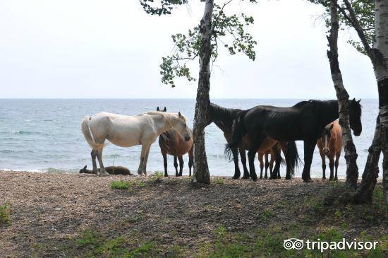 2018来一次跨年旅行,2019跨年旅行攻略