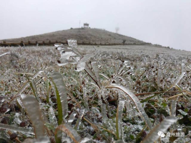 冰雪秦岭梦幻般的世界,乌蒙仙境风景