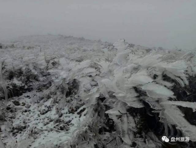 冰雪秦岭梦幻般的世界,乌蒙仙境风景