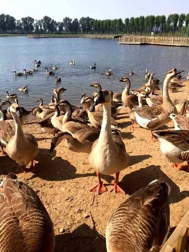 东北自由行旅游攻略7天鲅鱼圈,春节鲅鱼圈自驾一日游攻略