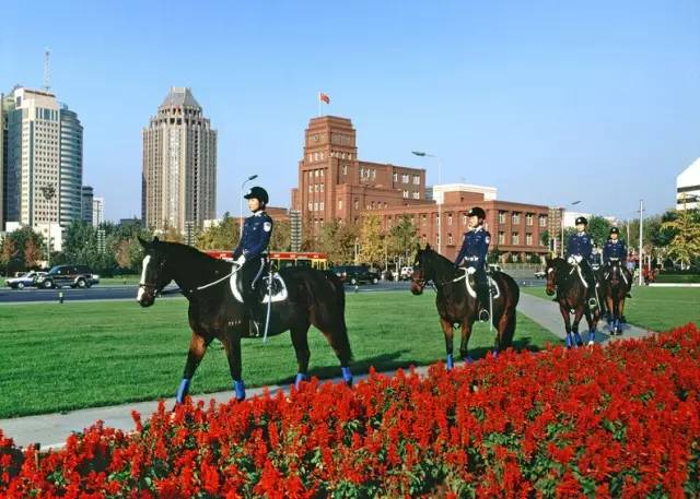 东北自由行旅游攻略7天鲅鱼圈,春节鲅鱼圈自驾一日游攻略