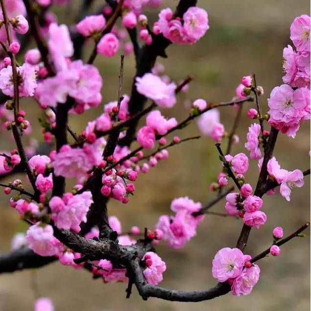 江西赣州冬天,赣州冬天周边旅游景点推荐